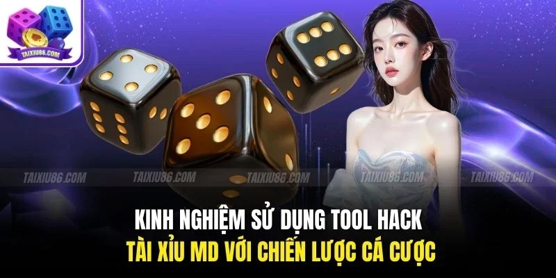 Kinh nghiệm sử dụng tool hack tài xỉu MD với chiến lược cá cược