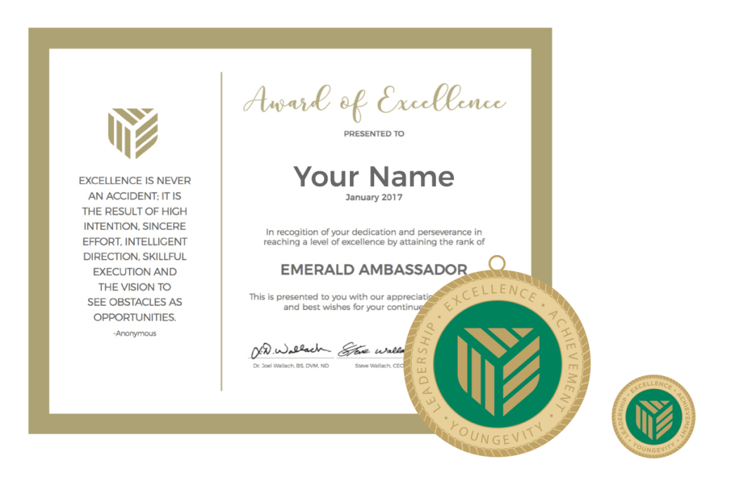 medal%20pin%20certificate%20and%20award%20credit